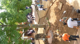 Timeline: Historia "Instituto Educativo Provenza"