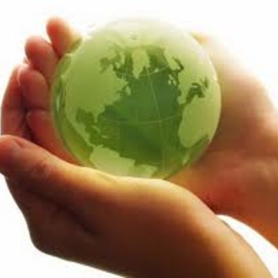 Timeline: Environmental Movement