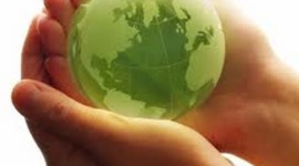 Timeline: Environmental Movement