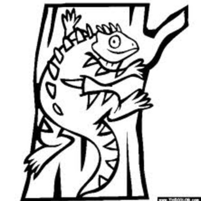 Timeline: Jose R De La Rosa