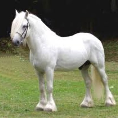 Timeline: 10 things that lead to the independance of america