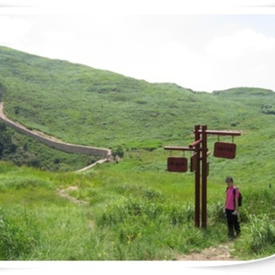 Timeline: 21세기 연수