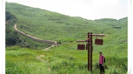 Timeline: 21세기 연수