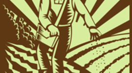 Timeline: 2011-2012 School Year