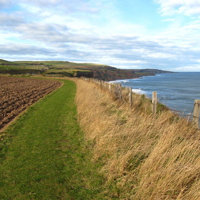 Timeline: How we get there from here