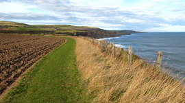 Timeline: How we get there from here