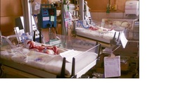 Timeline: BIOGRAFIA Jennifer Merida