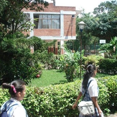 Timeline: Historia IEP