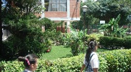 Timeline: Historia IEP