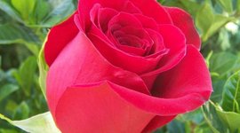 Timeline: kayle and sherrys timeline