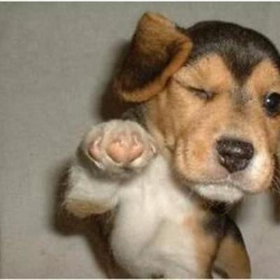 Timeline: My Timeline