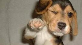 Timeline: My Timeline