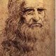 Leonardo