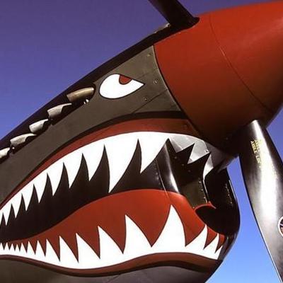 Timeline: The Warbird Timeline