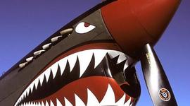 Timeline: The Warbird Timeline