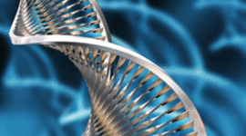 Timeline: Biotechnology Timeline madison and tyler