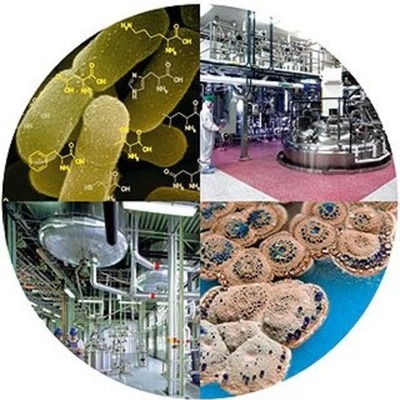 Timeline: History of Biotechnology