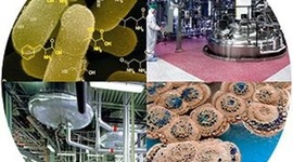 Timeline: History of Biotechnology