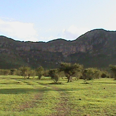 Timeline: My Personal Timeline