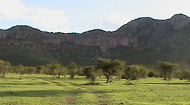 Timeline: My Personal Timeline