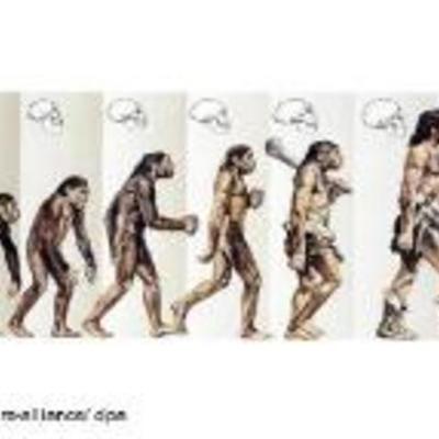 Timeline: Human Origins