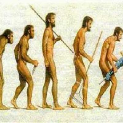 Timeline: History of Hominids (Seidel Timeline Project Block 2)