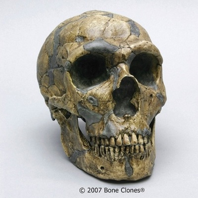 Timeline: Chapter 1 Timeline