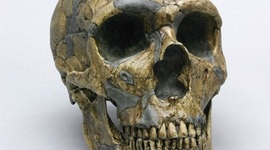 Timeline: Chapter 1 Timeline