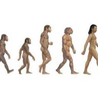 Timeline: The Evolution of Humans