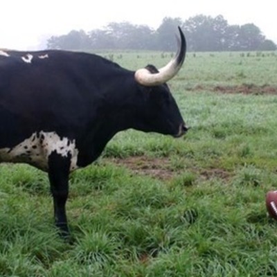 Timeline: Educational Career