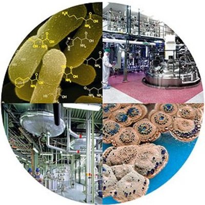 Timeline: Biotechnology Timeline: Clarissa Martinez & Katherine Dang