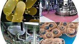 Timeline: Biotechnology Timeline: Clarissa Martinez & Katherine Dang