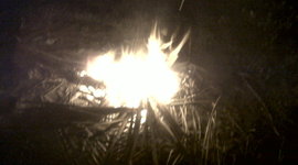 Timeline: La Bauhaus