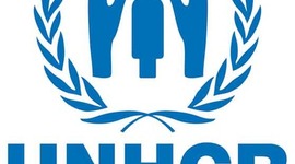 Timeline: Australia's Asylum Applications Submitted from 2004 to 2008