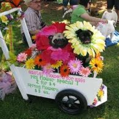 Timeline: Anna's 2011 School Year