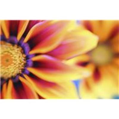 Timeline: Samantha 2011 School Year!