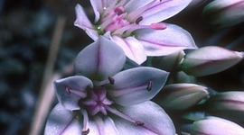 Timeline: Grace's 2011 School year