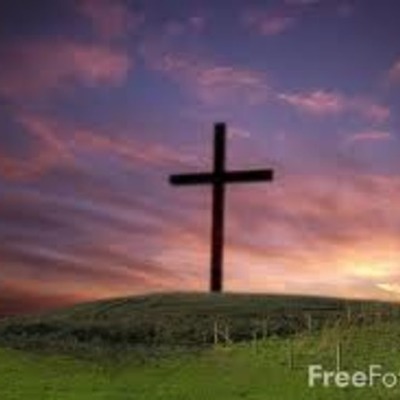 Timeline: Alyssa 2011 school year