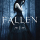 Book fallen2