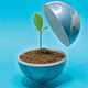 Ecologia responsabilidad2