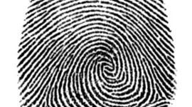 Timeline: Major Developments in Forensic Science History