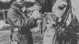 Timeline: World War I