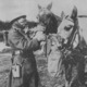 World war one horse1
