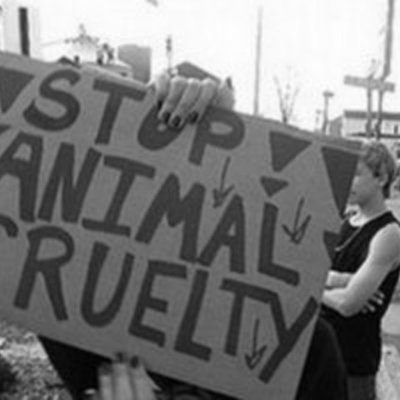 Timeline: Facts & reaons as to why I think everyone in the world should become vegetarians..