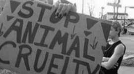 Timeline: Facts & reaons as to why I think everyone in the world should become vegetarians..