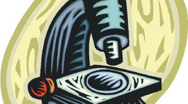 Timeline: Cell Theory Timeline