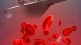 Timeline: Cell Theory