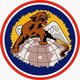 100th fighter squadron patch