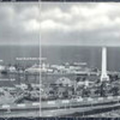 Timeline: Progression of Management