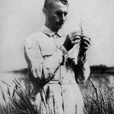 Timeline: Cinque Sweeting - 3rd